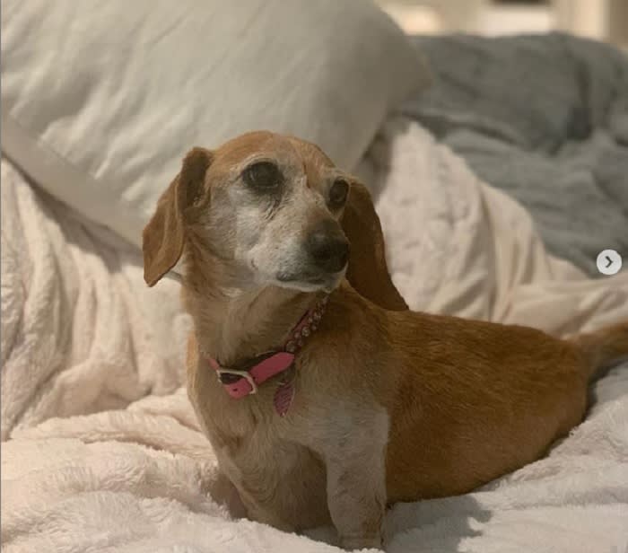 "Rest in peace my two beautiful girls": Andy Garcia