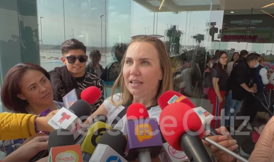 ¿Qué le pasó a Michelle Vieth?
