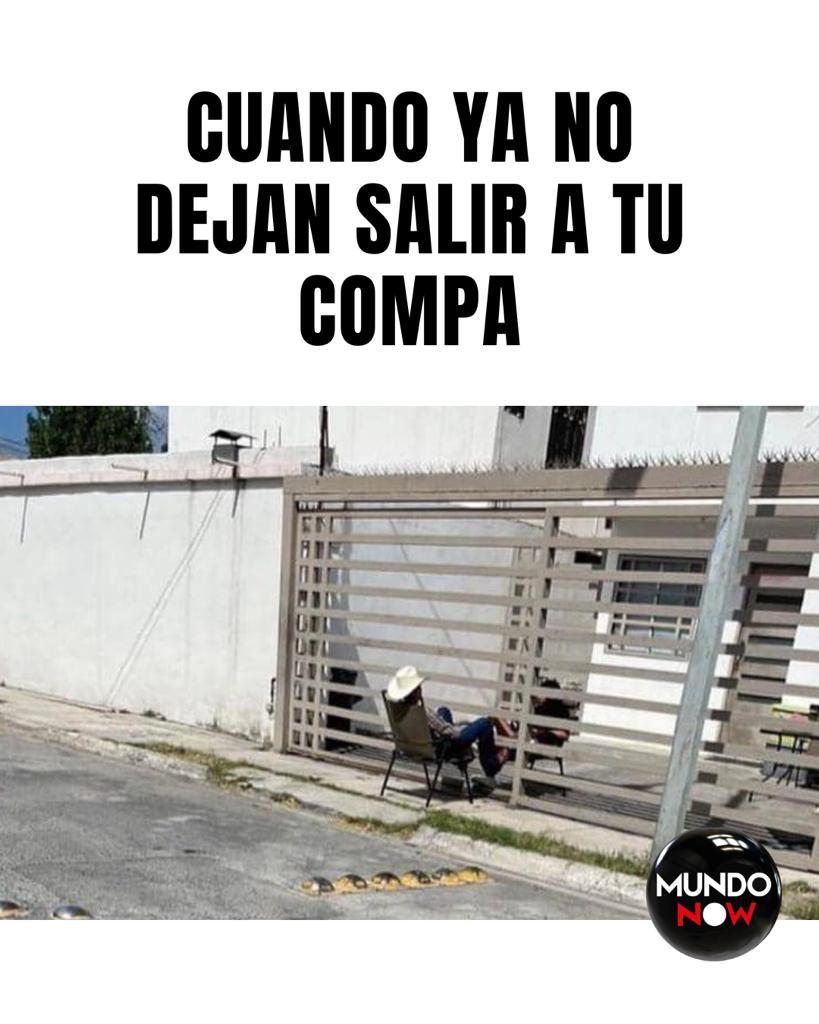 Compa, reja, amigos, sombrero, memes