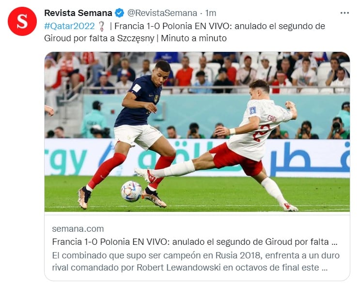 Francia vs Polonia: Le anulan gol a los galos