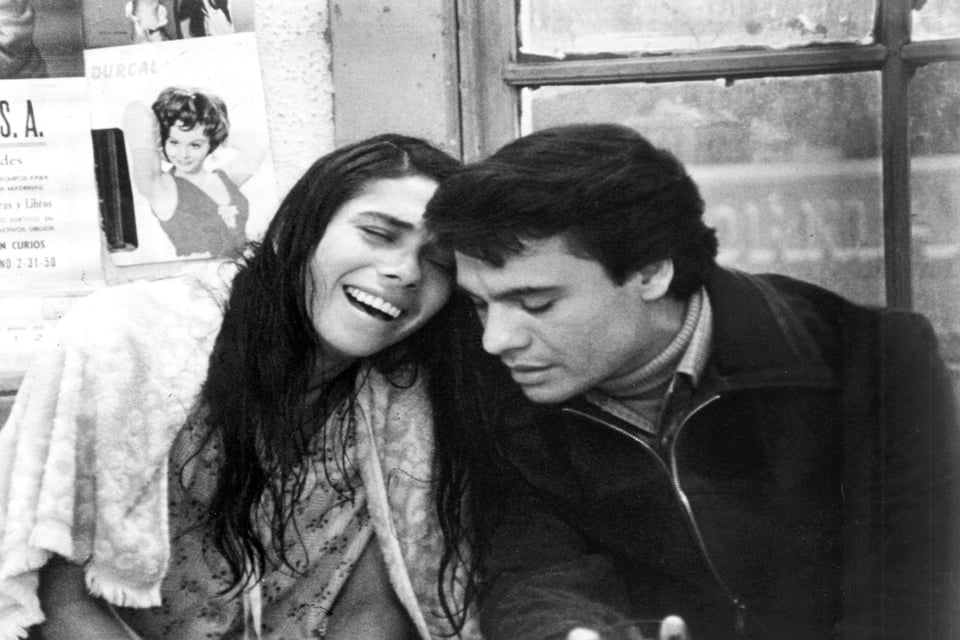 Sacudió el cine erótico