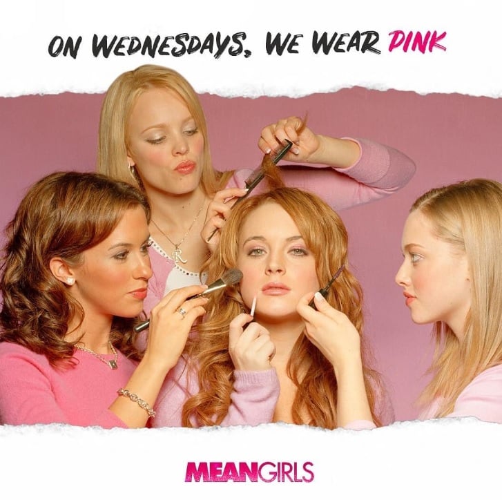 Mean Girls está basada en una novela