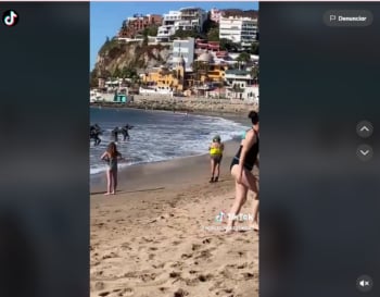 ¿PELIGRO EN EL MAR?