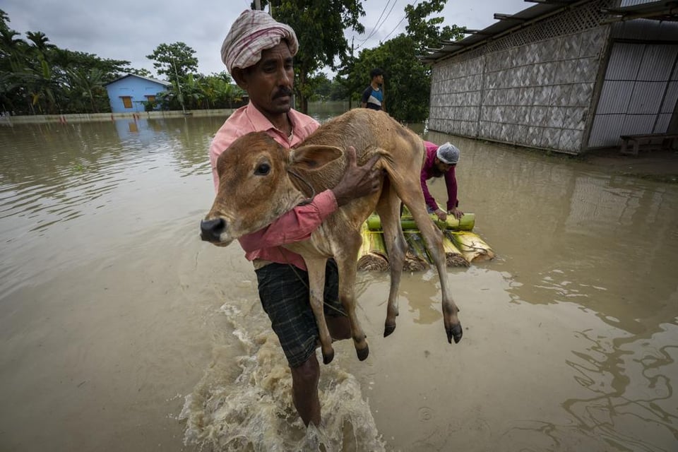 Inundaciones India varios muertos: "¿Qué más podemos hacer?"