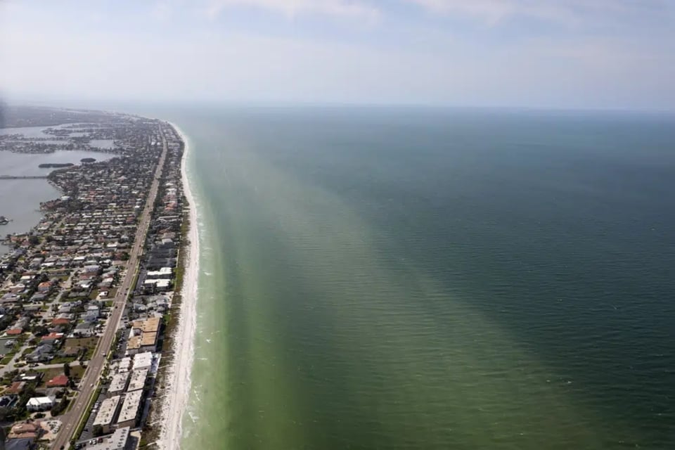 Marea roja en costa de Florida provoca problemas de salud por brote de algas tóxicas