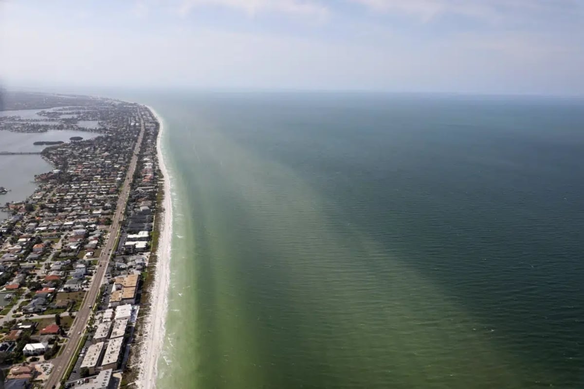 Marea roja en costa de Florida provoca problemas de salud por brote de algas tóxicas