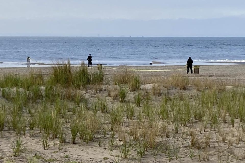 Tres niños aparecen muertos en la orilla de una playa de Nueva York featured image