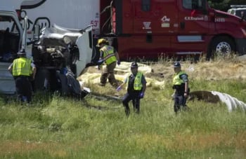 Siete adultos murieron en el accidente automovilístico de Oregón