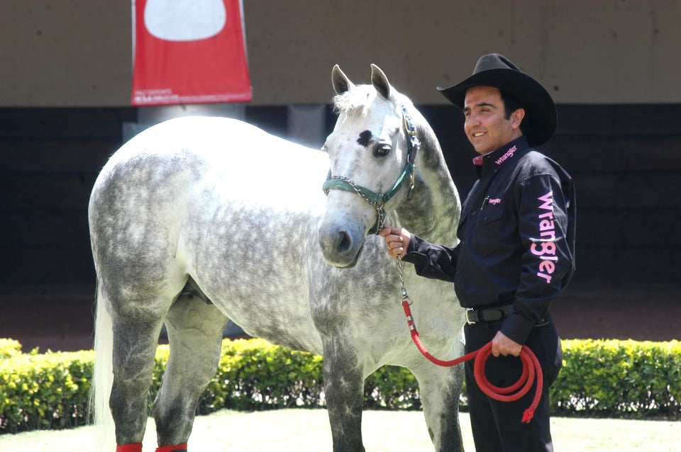 ¡Vicente Fernández Jr., y su novia se comprometieron! Aquí los detalles (VIDEO)