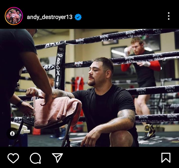 Mayeli Alonso Andy Ruiz