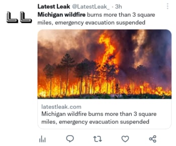 Incendio forestal en Michigan