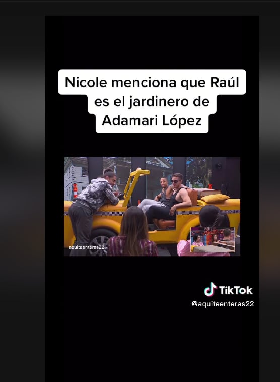 ¿Qué relación hay entre Raúl y Adamari? 