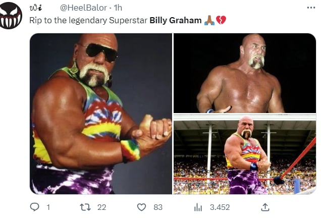 What happened to the fighter?