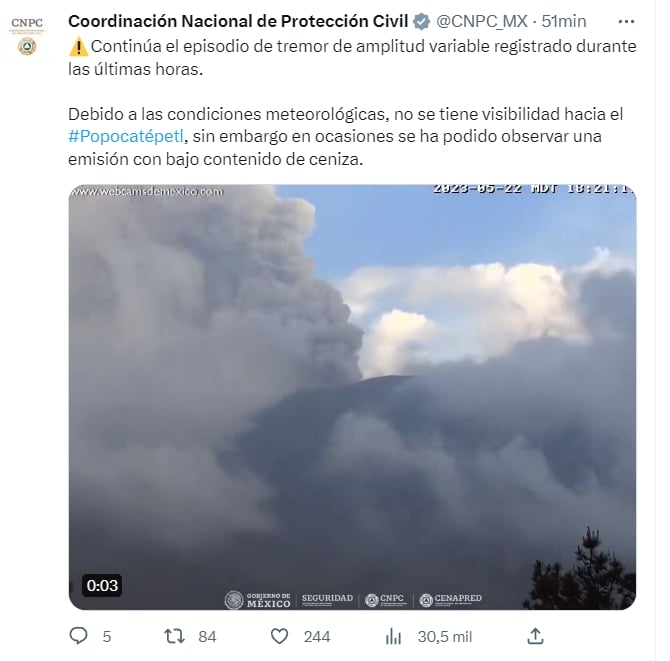 ¿Qué dijeron las autoridades?