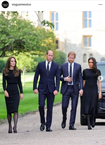 MEGHAN SE PRESENTA CON HARRY
