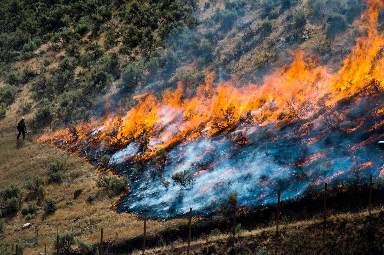 Anuncian cortafuegos para 6 estados de la Gran Cuenca