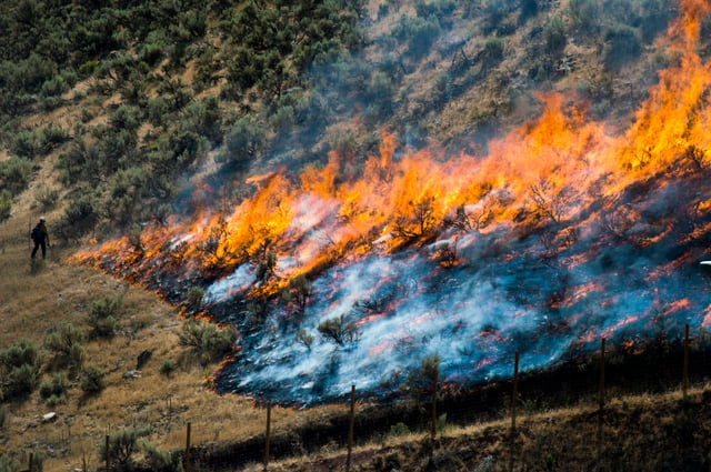 Anuncian cortafuegos para 6 estados de la Gran Cuenca