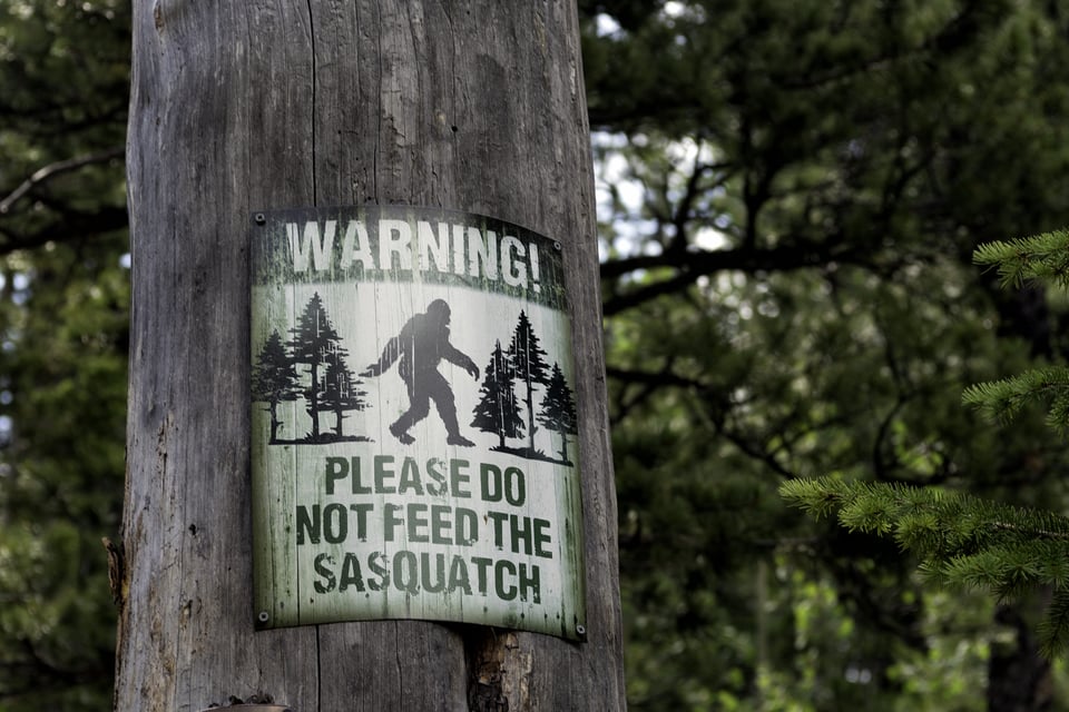 Curioso: Imágenes de Bigfoot en dos estados ¡se hacen virales! (VIDEO y FOTO)