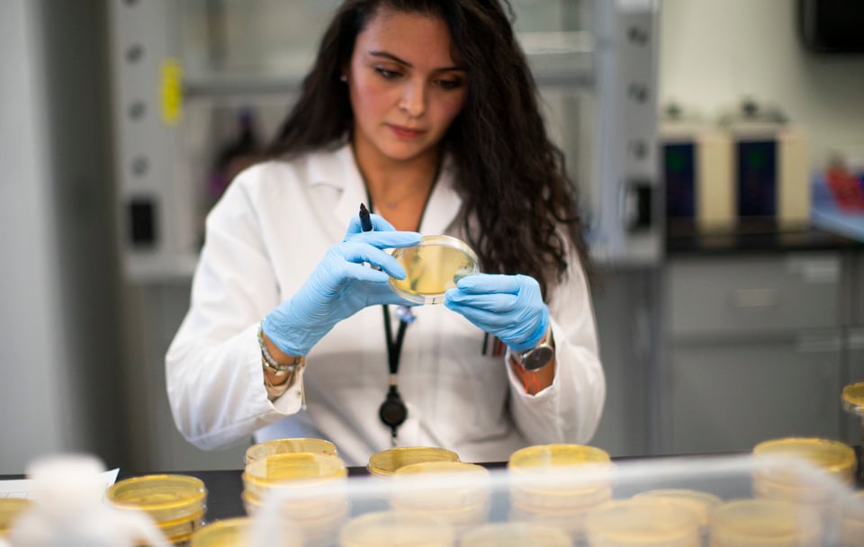 Científicos trabajan en un «prometedor» antiviral contra el nuevo coronavirus
