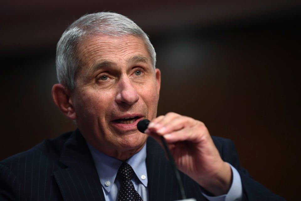Fauci advierte sobre celebrar el Thanksgiving en tiempos de coronavirus