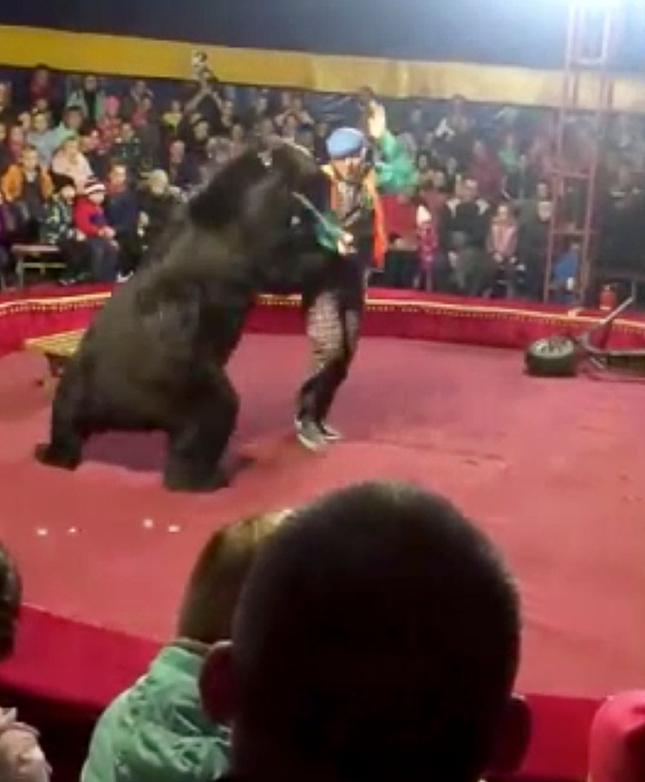 oso