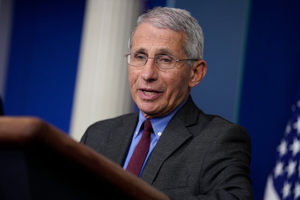 Fauci revela al Senado cuándo se sabría resultado de vacunas en desarrollo featured image