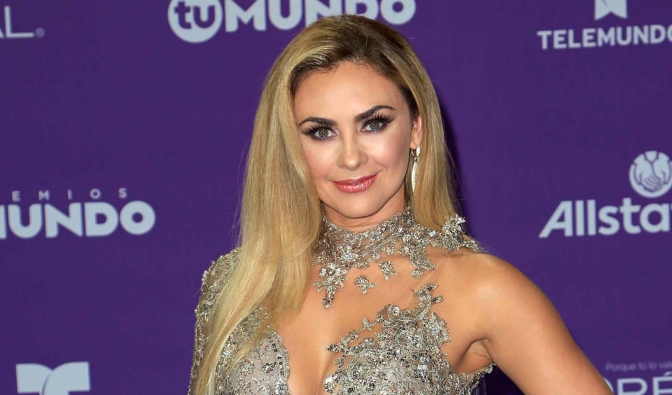 Aracely Arámbula anuncia sorpresiva muerte de familiar en pleno Día de Muertos (VIDEO)