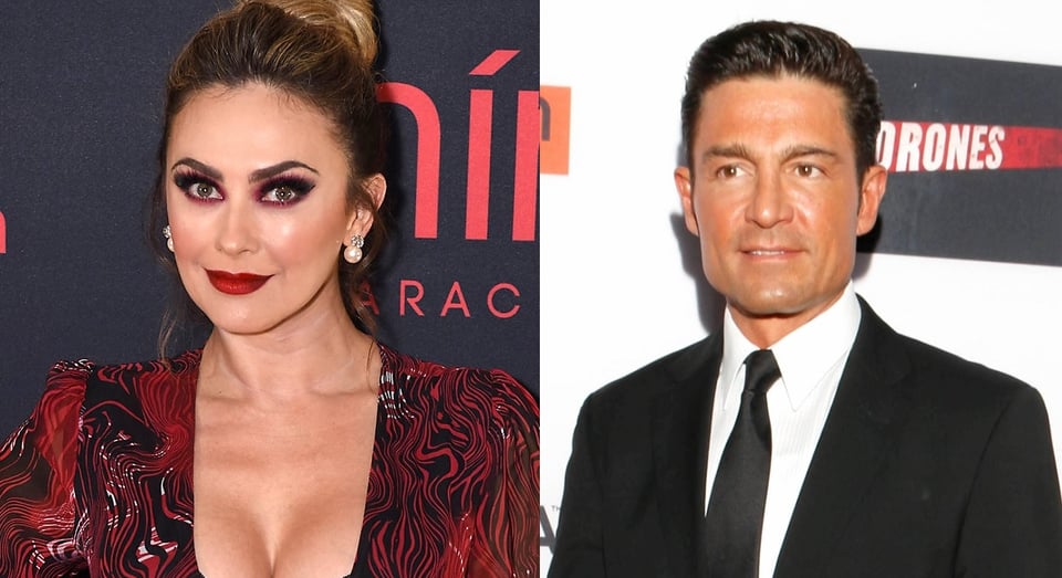 Aracely Arámbula se reencuentra con Fernando Colunga 20 años después y sucede lo inesperado (FOTOS)