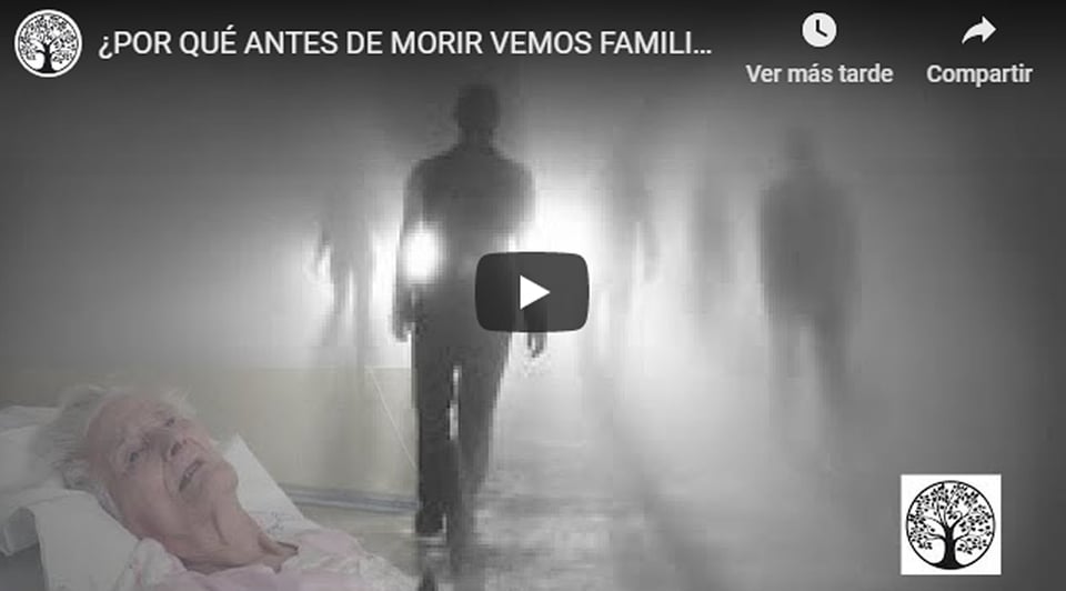 Vienen a buscarnos del «Más Allá»: Por qué antes de morir vemos a nuestros familiares  «del otro lado» featured image