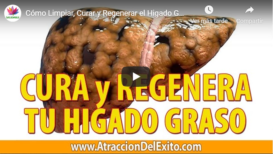 Cómo limpiar el hígado graso en 7 días de forma natural (VIDEO) featured image