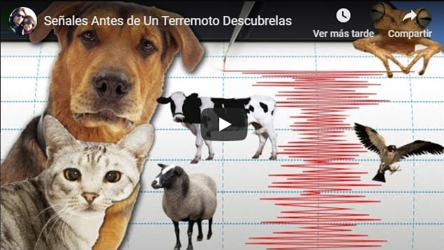 Señales naturales que avisan antes de un terremoto ¡Y debes tener en cuenta!