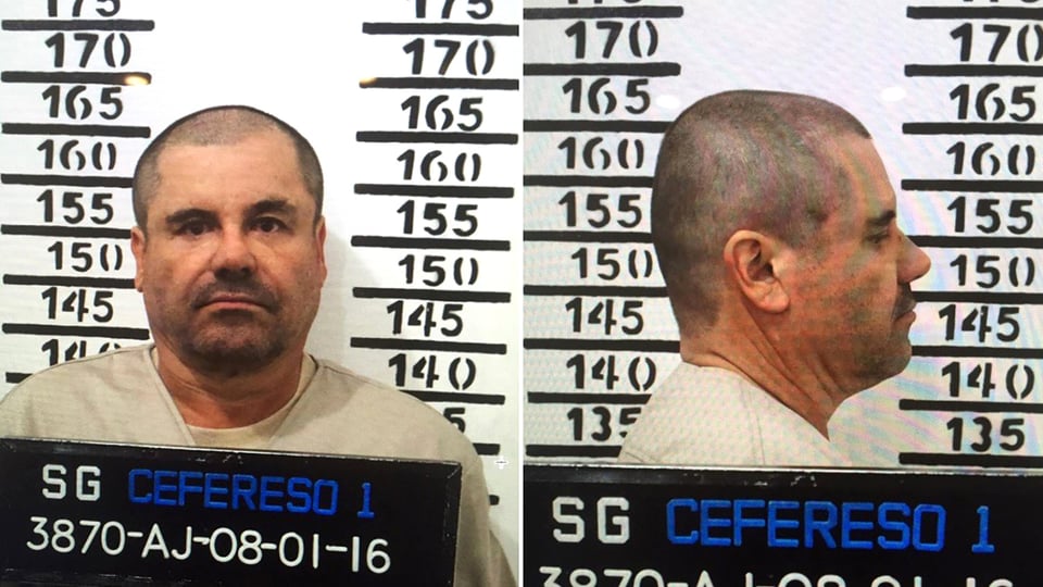 Alfredillo, hijo del Chapo Guzmán, aparece en la lista de los más buscados de la DEA Chicago featured image