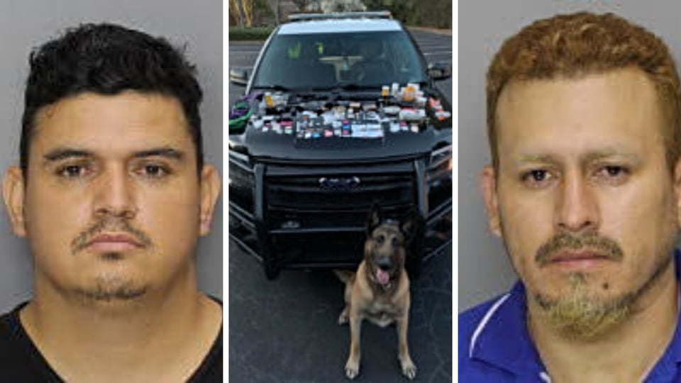 Crónica: Hispanos desenmascarados por un perro policía