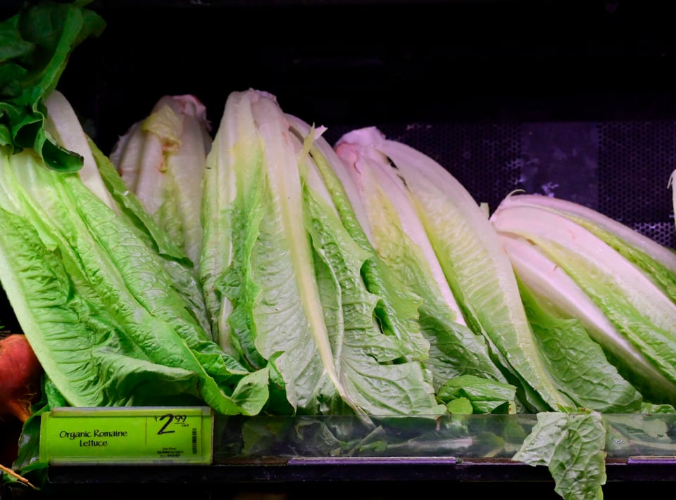 «No la coman»: Alertan sobre brote de E. Coli en lechuga romana cultivada en California
