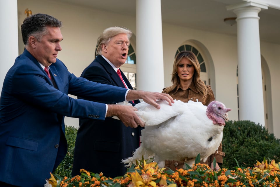 Acción de Gracias: Trump celebra, pero advierten cómo podría arruinarle el día a muchos
