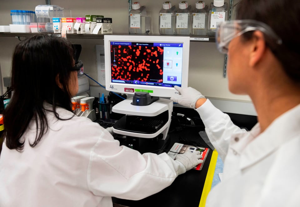 “Hay una cura”:  Científicos en California afirman haber descubierto anticuerpo que bloquea el “100%” de infecciones por coronavirus