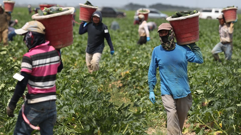 Crece empleo para trabajadores mexicanos en EE.UU. y también aumentan las remesas featured image