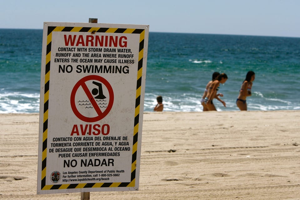 Miles de «peces pene» aparecen en playa de California (FOTOS)