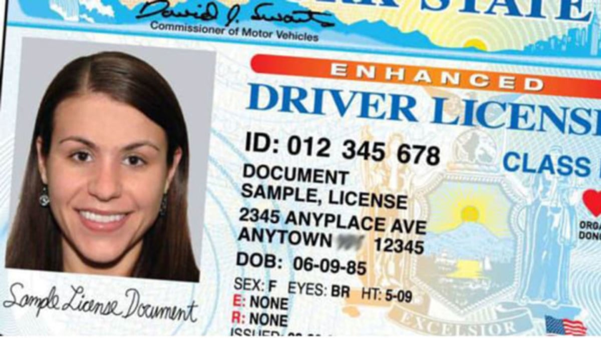licencias de conducir georgia