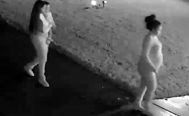 Ladrones se roban los regalos de Navidad en Georgia