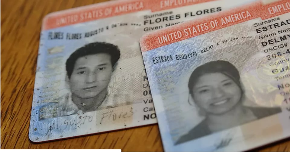  Lotería de visas: ¿cómo obtener tu solicitud para una ‘green card’? featured image