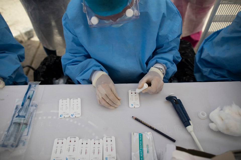 En plena pandemia alertan por ébola de los conejos, más contagioso que el coronavirus (FOTO)