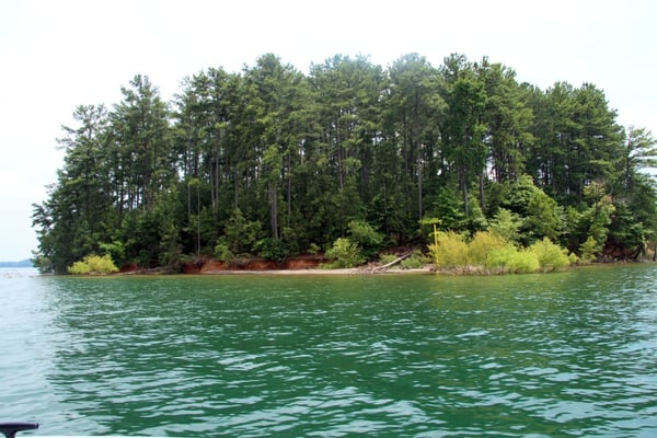 Crónica: Alerta ¡peligro en el lago! ¡Aguas letales! Cuidado