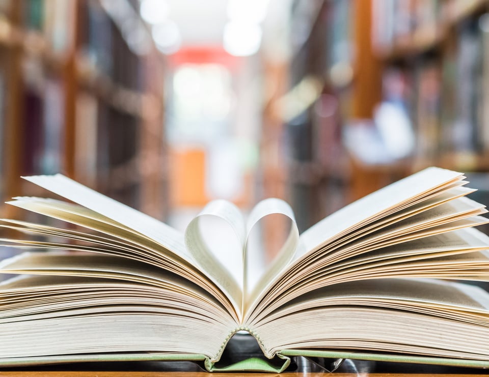 Día Nacional de leer un libro: Recomendaciones para recordar esta fecha ¡y ponerla en práctica! featured image