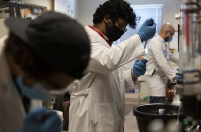 Estudio demuestra que pacientes con coronavirus presentan infecciones intestinales prolongadas