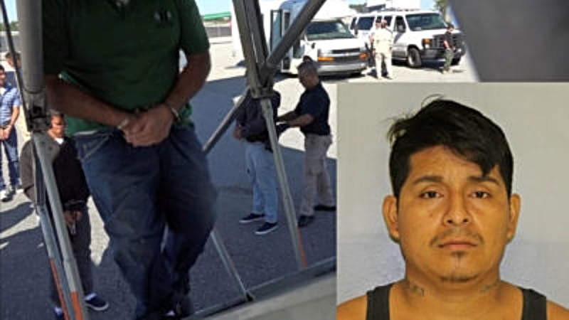 Crónica: Sin querer, ICE le hace tremendo favor a indocumentado