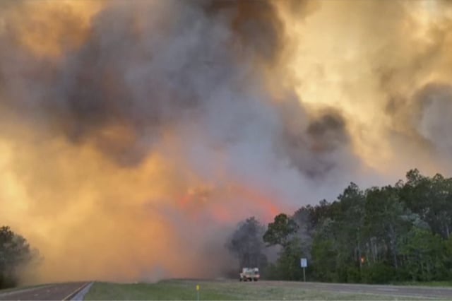 Cientos de personas evacuadas por incendios forestales en Florida (VIDEO)