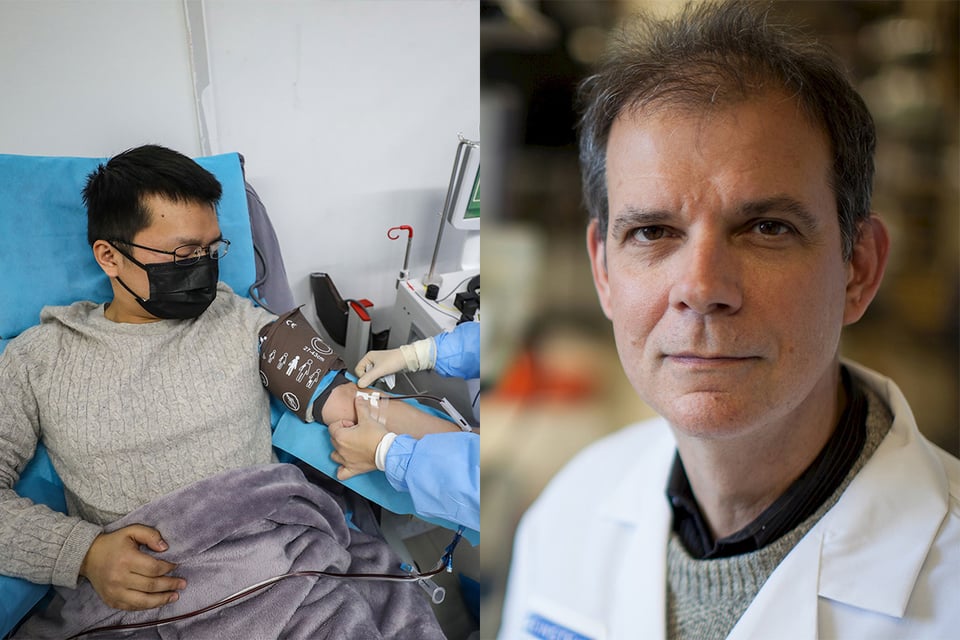 Plasma de sobrevivientes del coronavirus es la «única» opción antes de vacuna, asegura médico hispano featured image