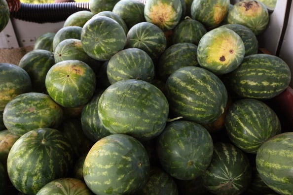 Estos son los grandes beneficios de la sandía que muchos desconocen (VIDEO) featured image