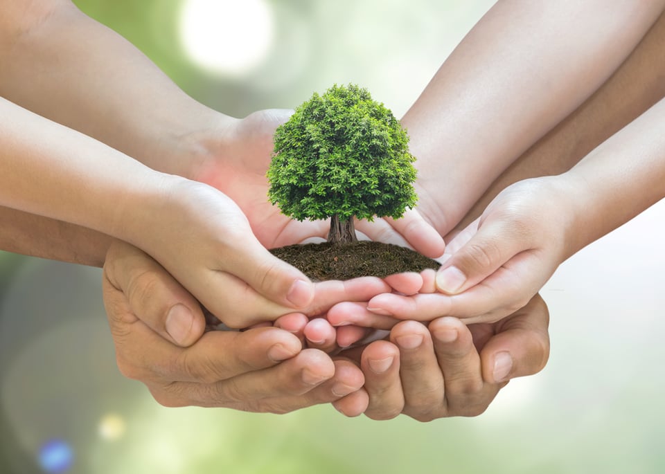 Día Mundial del Medio Ambiente: «Sin contaminación del aire»